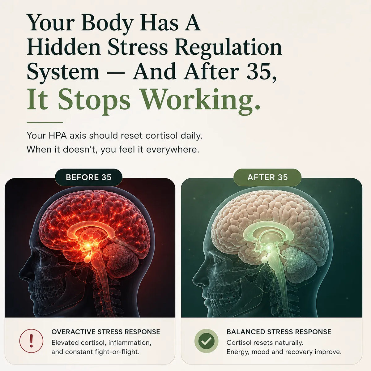Solumos Rhodiola 400mg