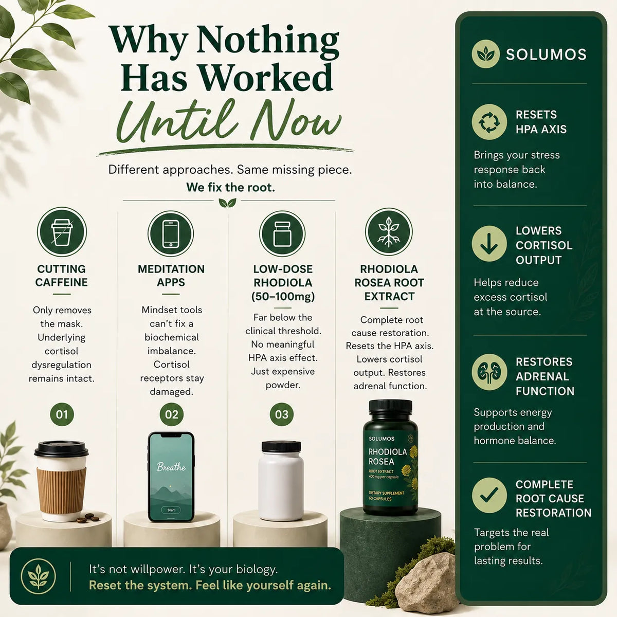 Solumos Rhodiola 400mg